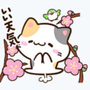 ヒメ日記 2026/04/16 12:55 投稿 のの 綺麗＆kirei