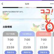 ヒメ日記 2025/12/19 15:21 投稿 なゆ ラブ・アンド・ラブ