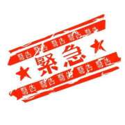 ヒメ日記 2026/03/19 19:06 投稿 なゆ ラブ・アンド・ラブ