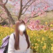 ヒメ日記 2026/04/27 09:26 投稿 なゆ ラブ・アンド・ラブ