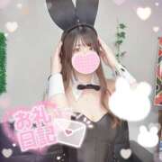 ヒメ日記 2025/12/19 10:00 投稿 りおん JAPAN CLUB BUNNY LOUNGE
