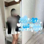 なみ 少しだけ甘えたい朝…? 五反田人妻ヒットパレード（シンデレラグループ）