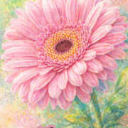 ヒメ日記 2025/12/31 11:48 投稿 めい 綺麗＆kirei