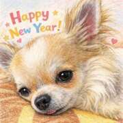 ヒメ日記 2026/01/03 12:08 投稿 めい 綺麗＆kirei