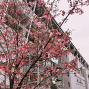 ヒメ日記 2026/03/24 19:09 投稿 めい 綺麗＆kirei