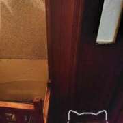 ヒメ日記 2025/12/16 06:11 投稿 ひめか サンキュー沼津店（サンキューグループ）