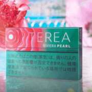 ヒメ日記 2026/01/15 04:11 投稿 ひめか サンキュー沼津店（サンキューグループ）