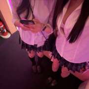 ヒメ日記 2025/11/28 01:34 投稿 くれは みつばちマーヤZ