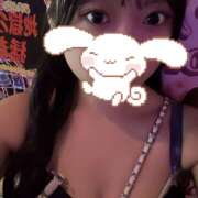 ヒメ日記 2025/12/16 22:26 投稿 くれは みつばちマーヤZ