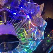 ヒメ日記 2025/12/17 02:02 投稿 くれは みつばちマーヤZ