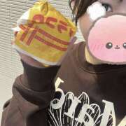 ヒメ日記 2025/12/23 01:36 投稿 くれは みつばちマーヤZ