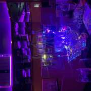 ヒメ日記 2026/02/03 01:30 投稿 くれは みつばちマーヤZ