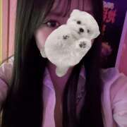 ヒメ日記 2026/02/12 19:16 投稿 くれは みつばちマーヤZ