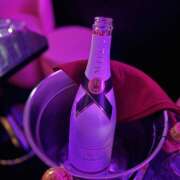 ヒメ日記 2026/02/25 01:43 投稿 くれは みつばちマーヤZ