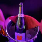 ヒメ日記 2026/02/26 01:28 投稿 くれは みつばちマーヤZ