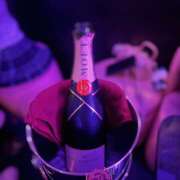 ヒメ日記 2026/03/27 03:19 投稿 くれは みつばちマーヤZ