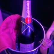 ヒメ日記 2026/03/30 01:24 投稿 くれは みつばちマーヤZ