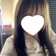 ヒメ日記 2026/03/30 20:56 投稿 くれは みつばちマーヤZ