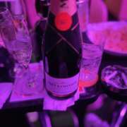 ヒメ日記 2026/04/17 01:25 投稿 くれは みつばちマーヤZ