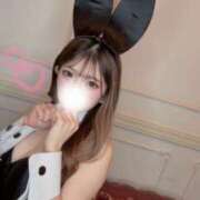 ヒメ日記 2025/12/09 18:37 投稿 なつき JAPAN CLUB BUNNY LOUNGE