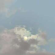 ポポちゃん 初日おわりました！ Ace(エース)