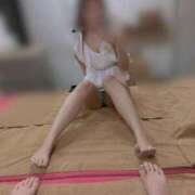 ヒメ日記 2026/03/22 12:21 投稿 ポポちゃん Ace(エース)