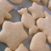 ヒメ日記 2026/03/25 14:25 投稿 ポポちゃん Ace(エース)