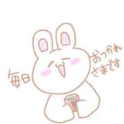 ヒメ日記 2026/03/28 23:19 投稿 ポポちゃん Ace(エース)