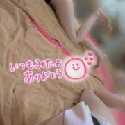 ヒメ日記 2026/04/07 17:40 投稿 ポポちゃん Ace(エース)