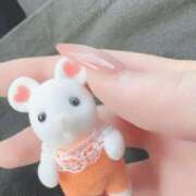 ヒメ日記 2026/04/24 20:02 投稿 ポポちゃん Ace(エース)