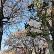 ヒメ日記 2026/05/04 08:14 投稿 ましろ 一宮稲沢小牧ちゃんこ