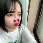 ヒメ日記 2025/12/02 13:49 投稿 ゆめか 素人しか勝たん！柏店（超恋人型空間デリヘル）