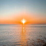 ヒメ日記 2026/03/22 10:54 投稿 まっきー あるまぎ！