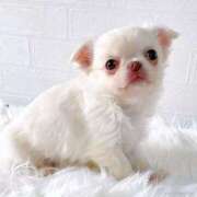 ヒメ日記 2026/03/09 15:57 投稿 みく 兵庫加東小野ちゃんこ