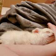 ヒメ日記 2026/03/16 09:43 投稿 みく 兵庫加東小野ちゃんこ