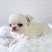 ヒメ日記 2026/03/23 13:58 投稿 みく 兵庫加東小野ちゃんこ