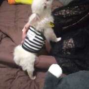 ヒメ日記 2026/04/01 22:22 投稿 みく 兵庫加東小野ちゃんこ