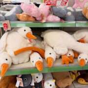 ヒメ日記 2026/02/18 10:30 投稿 森 川崎人妻城