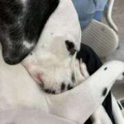 ヒメ日記 2026/02/25 00:00 投稿 森 川崎人妻城