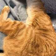 ヒメ日記 2026/03/01 15:34 投稿 森 川崎人妻城