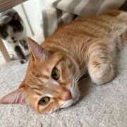 ヒメ日記 2026/03/17 12:58 投稿 森 川崎人妻城