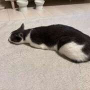 ヒメ日記 2026/03/17 23:26 投稿 森 川崎人妻城