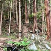 森 タ、タイミングミスってしまい… 森 川崎人妻城