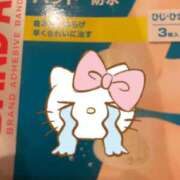 ヒメ日記 2025/12/26 23:29 投稿 ゆきの 錦糸町人妻セレブリティ（ユメオト）