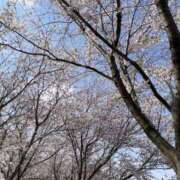 ヒメ日記 2026/03/30 20:30 投稿 ゆきの 錦糸町人妻セレブリティ（ユメオト）