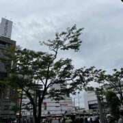 ヒメ日記 2026/07/07 16:35 投稿 かすみ One More 奥様 小岩店