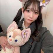 ベーグル 会いにきて❣️ きらめけ！にゃんにゃん学園in大宮