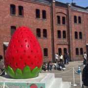 ベーグル いちごまつり きらめけ！にゃんにゃん学園in大宮