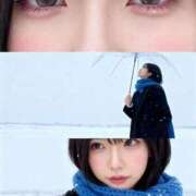 ヒメ日記 2026/02/10 17:14 投稿 ヒマリ ピカソ