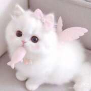 ヒメ日記 2026/01/02 12:17 投稿 藍沢もえ 夜這い＆イメクラ 妄想する女学生たち 難波校